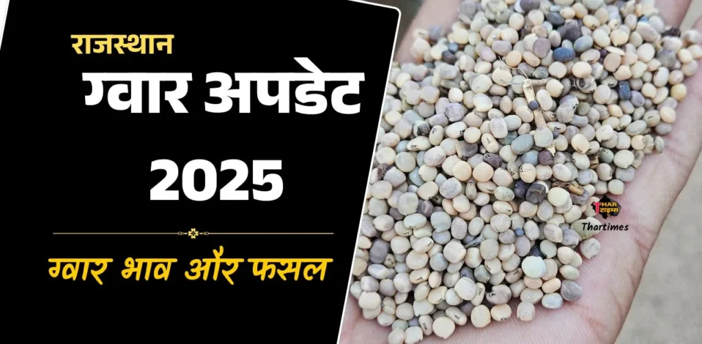 ग्वार अपडेट 2025