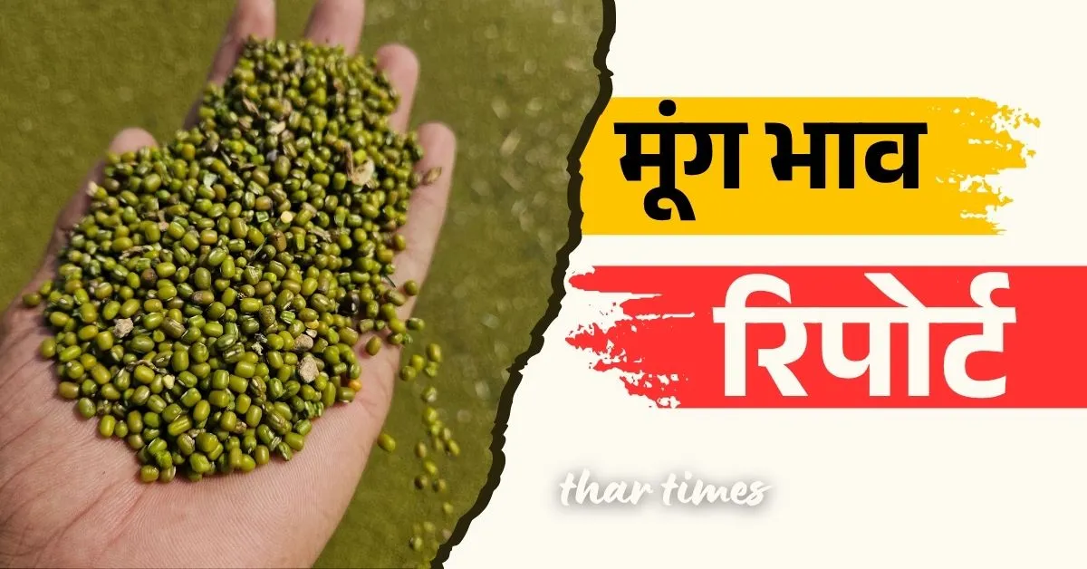 मुंग का भाव