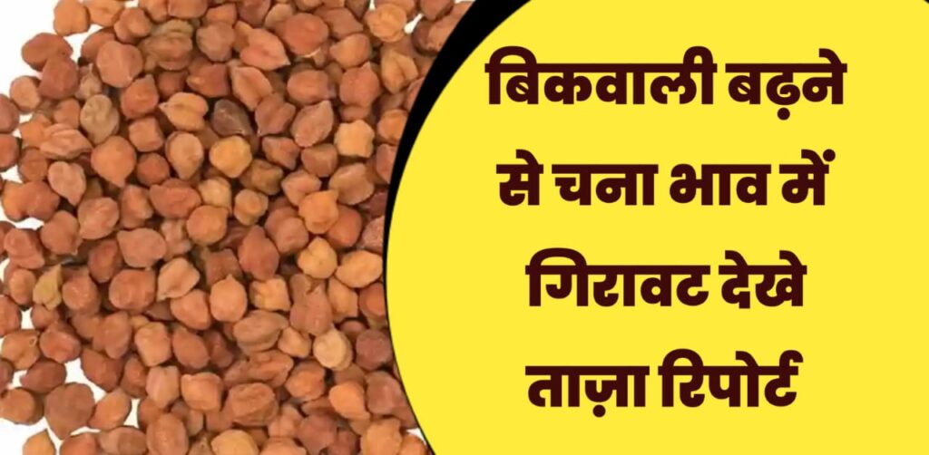 चना भाव रिपोर्ट 2026