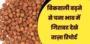 चना भाव रिपोर्ट 2026