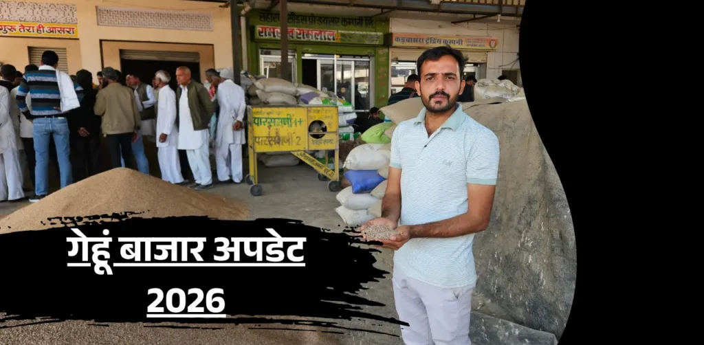 गेहूं बाजार अपडेट 2026