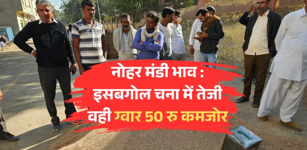 नोहर मंडी भाव