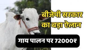 मुख्यमंत्री सहभागिता योजना