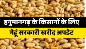 गेहूं खरीद लक्ष्य हनुमानगढ़