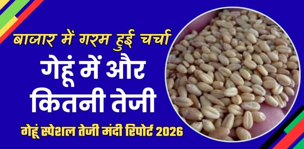 गेंहू का भाव