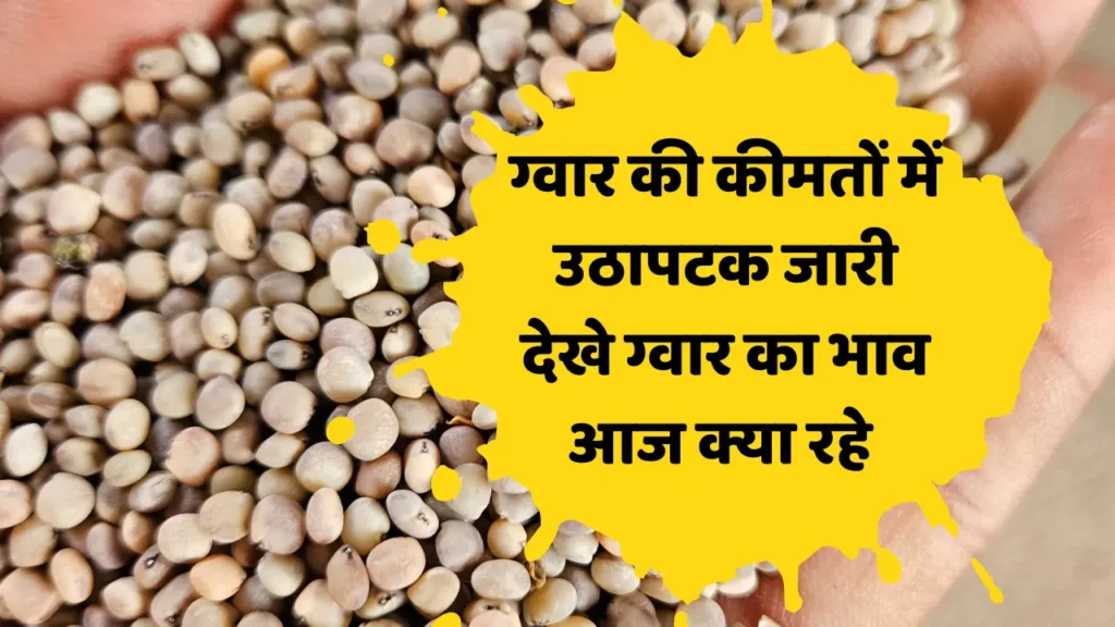 आज का ग्वार भाव