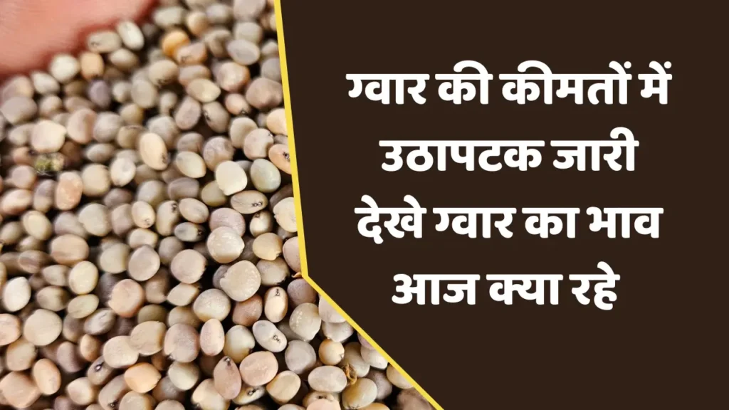 ग्वार का भाव आज