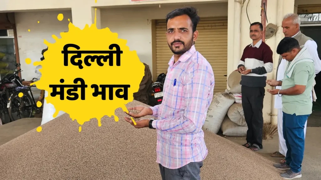 दिल्ली मंडी भाव आज का